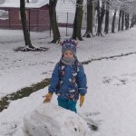 phoca_thumb_m_veverky na snhu 5 Fotogalerie